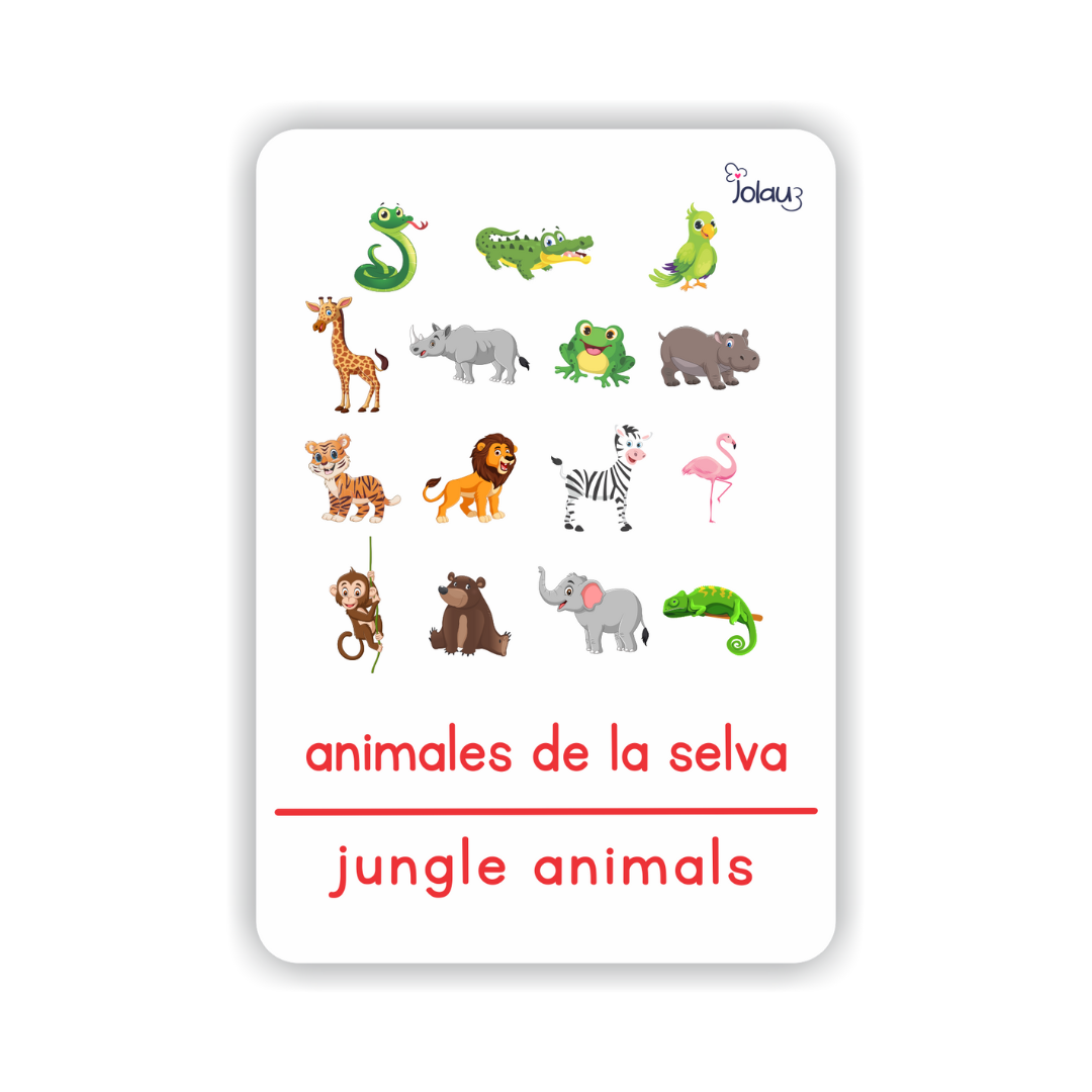 FLASHCARDS ANIMALES DE LA SELVA