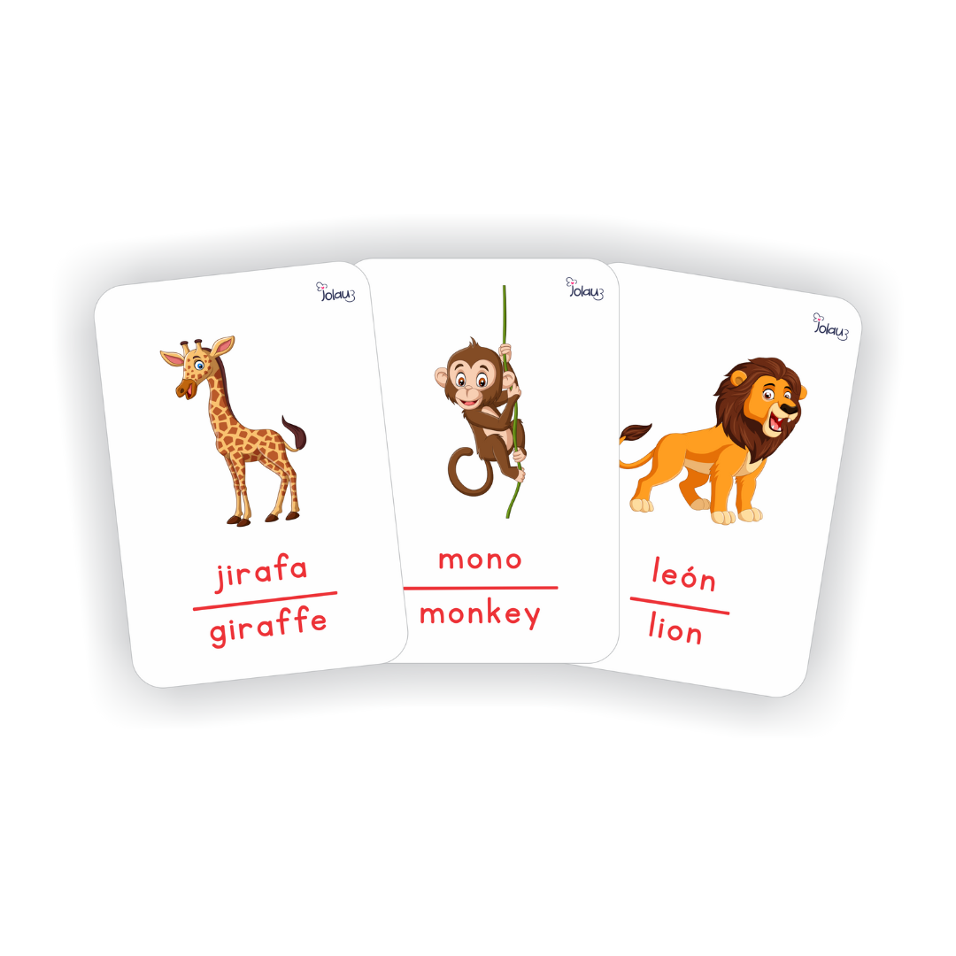 FLASHCARDS ANIMALES DE LA SELVA