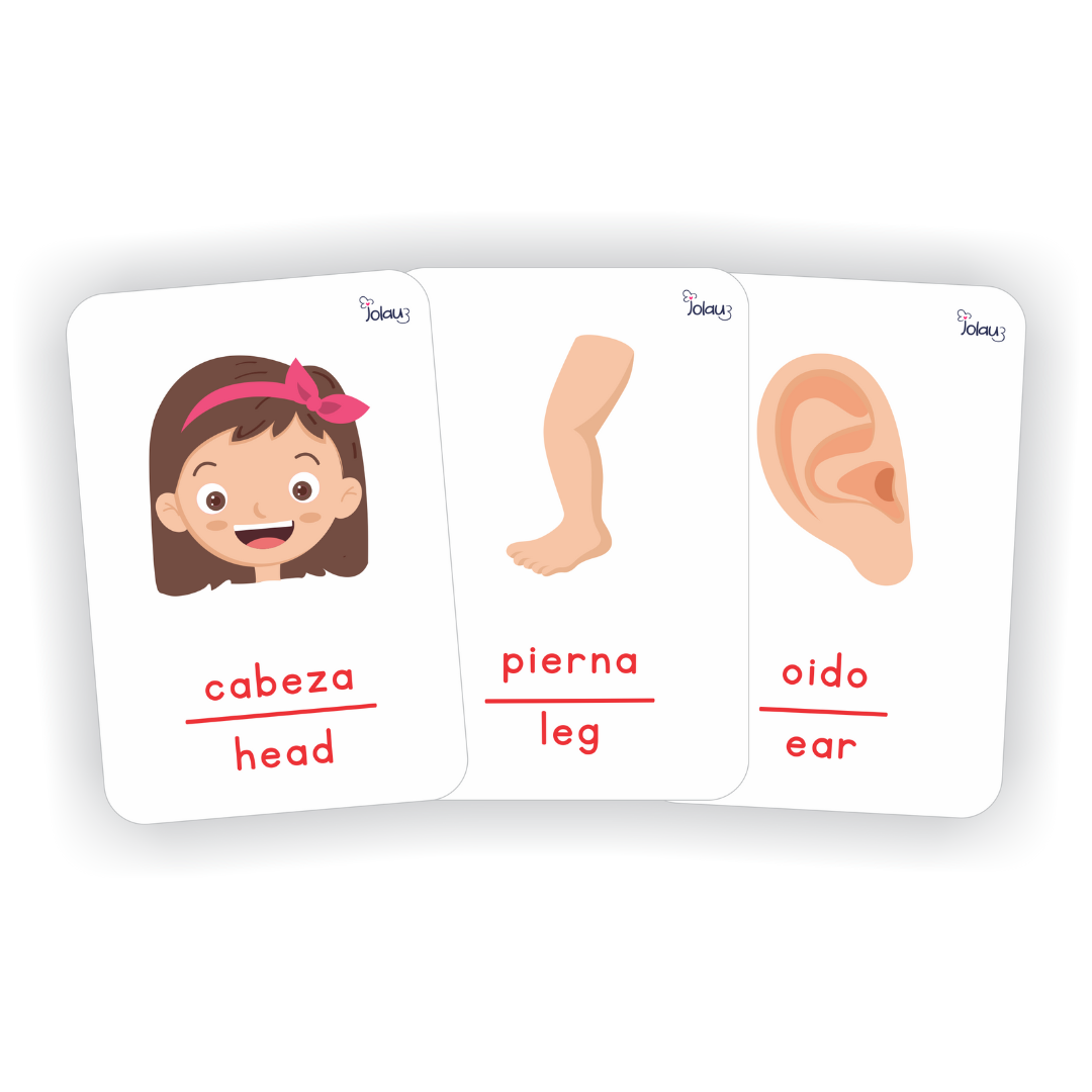 FLASHCARDS PARTES DEL CUERPO NIÑA