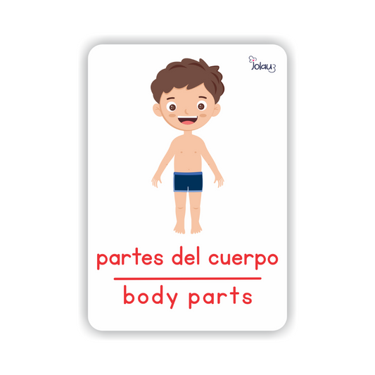 FLASHCARDS PARTES DEL CUERPO NIÑO